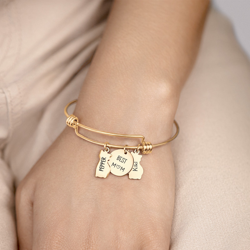 Bracciale Bangle Personalizzato Amore Gatti - Gold - 62